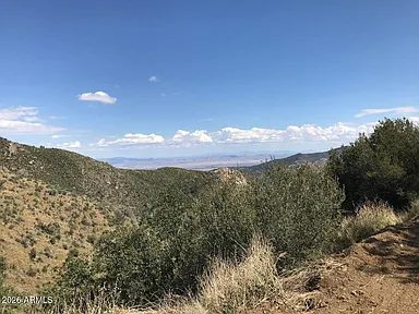 Land for Sale in Crown King, AZ – $50,000 - photo 4